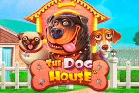 The Dog House